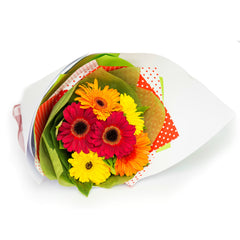 Fresh Flowers