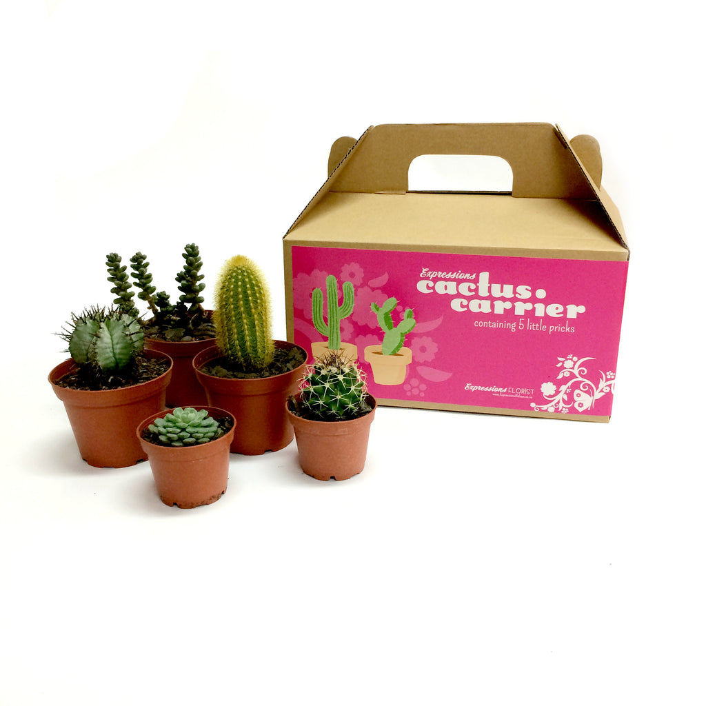 Cactus Carrier